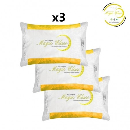 Queen Almohadas X3 (50x70)